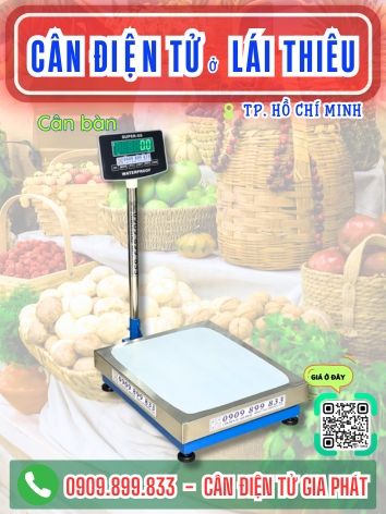 Cân điện tử ở phường Lái Thiêu Thành Phố Hồ Chí Minh