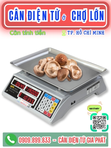 phường Chợ Lớn Th&agrave;nh Phố Hồ Ch&iacute; Minh