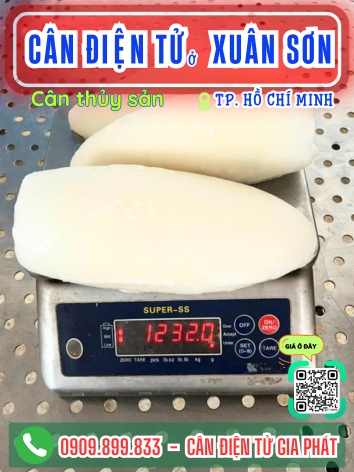 C&acirc;n điện tử ở Xu&acirc;n Sơn TP. Hồ Ch&iacute; Minh - C&acirc;n Gia Ph&aacute;t