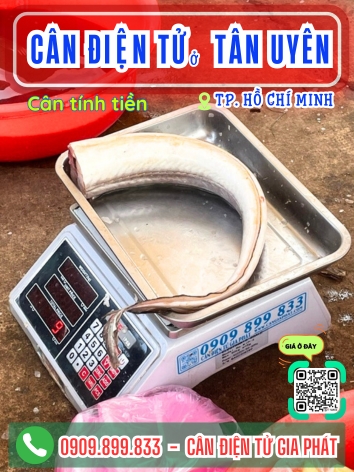 C&acirc;n điện tử ở Xu&acirc;n Sơn TP. Hồ Ch&iacute; Minh - C&acirc;n Gia Ph&aacute;t