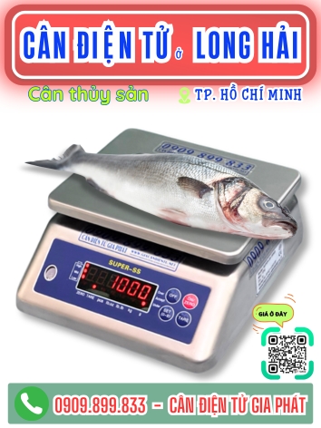 C&acirc;n điện tử ở Long Hải TP. Hồ Ch&iacute; Minh - C&acirc;n Gia Ph&aacute;t