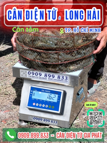 C&acirc;n điện tử ở Long Hải TP. Hồ Ch&iacute; Minh - C&acirc;n Gia Ph&aacute;t