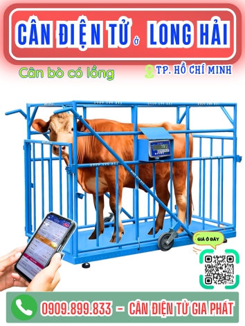 C&acirc;n điện tử ở Long Hải TP. Hồ Ch&iacute; Minh - C&acirc;n Gia Ph&aacute;t