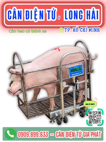 C&acirc;n điện tử ở Long Hải TP. Hồ Ch&iacute; Minh - C&acirc;n Gia Ph&aacute;t