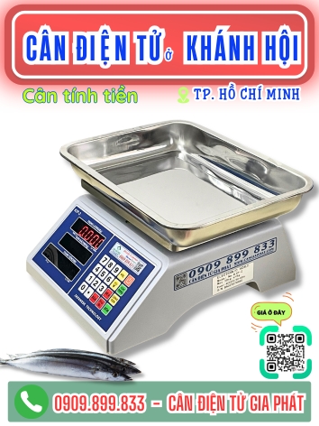 C&acirc;n điện tử ở Kh&aacute;nh Hội TP. Hồ Ch&iacute; Minh - C&acirc;n Gia Ph&aacute;t