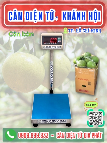 Cân điện tử ở Khánh Hội TP. Hồ Chí Minh - Cân Gia Phát