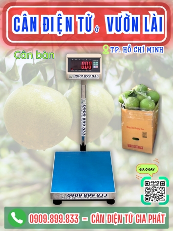 Cân điện tử ở Vườn Lài TP. Hồ Chí Minh - Cân Gia Phát