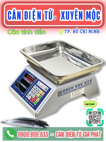 C&acirc;n điện tử ở Xuy&ecirc;n Mộc TP. Hồ Ch&iacute; Minh - C&acirc;n Gia Ph&aacute;t