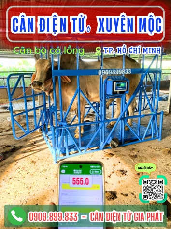 C&acirc;n điện tử ở Xuy&ecirc;n Mộc TP. Hồ Ch&iacute; Minh - C&acirc;n Gia Ph&aacute;t