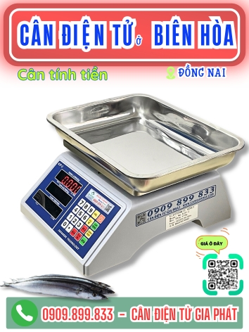 Cân điện tử ở Biên Hòa Đồng Nai - Cân Gia Phát