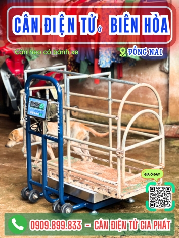 C&acirc;n điện tử ở Bi&ecirc;n H&ograve;a Đồng Nai - C&acirc;n Gia Ph&aacute;t