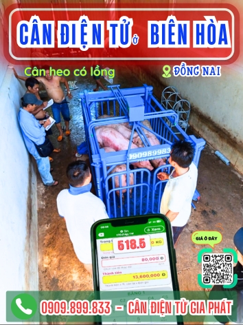 Cân điện tử ở Biên Hòa Đồng Nai - Cân Gia Phát