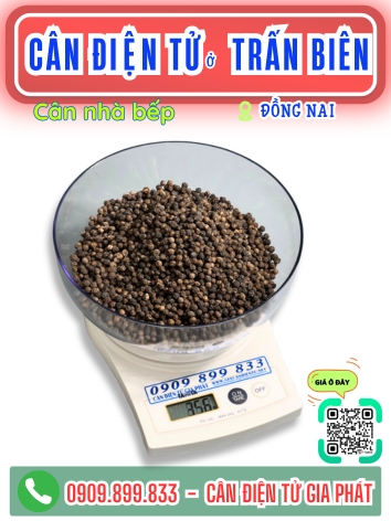 Cân điện tử ở Trấn Biên Đồng Nai - Cân Gia Phát