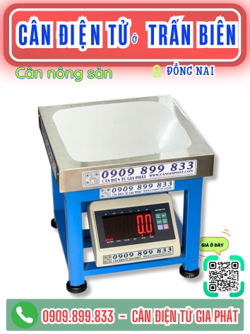 Cân điện tử ở Trấn Biên Đồng Nai - Cân Gia Phát