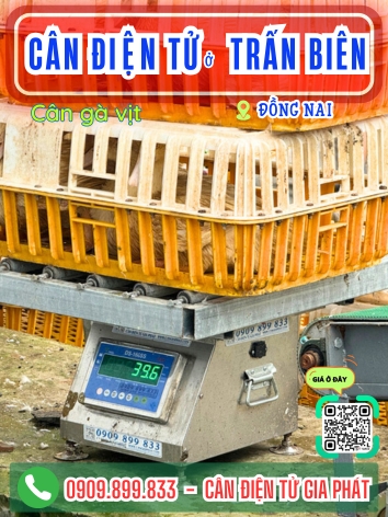 Cân điện tử ở Trấn Biên Đồng Nai - Cân Gia Phát