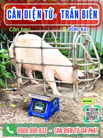 Cân điện tử ở Trấn Biên Đồng Nai - Cân Gia Phát