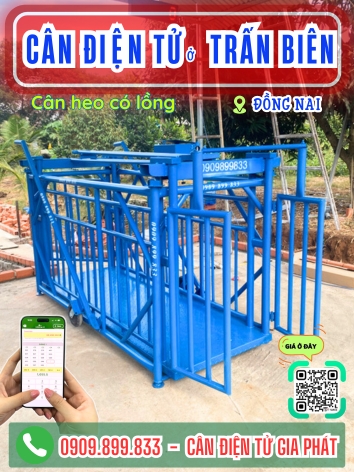 C&acirc;n điện tử ở Trấn Bi&ecirc;n Đồng Nai - C&acirc;n Gia Ph&aacute;t