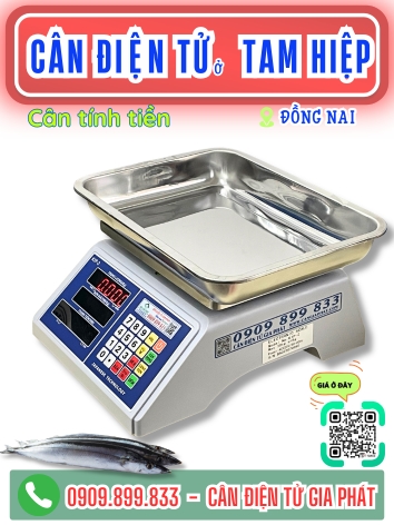 C&acirc;n điện tử ở Tam Hiệp Đồng Nai - C&acirc;n Gia Ph&aacute;t