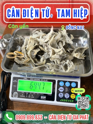 C&acirc;n điện tử ở Tam Hiệp Đồng Nai - C&acirc;n Gia Ph&aacute;t