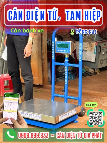 Cân điện tử ở Phường Tam Hiệp Đồng Nai