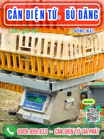 C&acirc;n điện tử ở B&ugrave; Đăng Đồng Nai - C&acirc;n Gia Ph&aacute;t