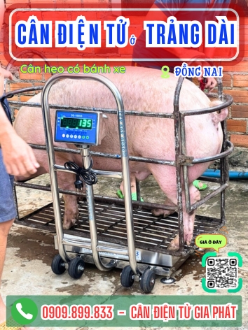 C&acirc;n điện tử ở Trảng D&agrave;i Đồng Nai - C&acirc;n Gia ph&aacute;t