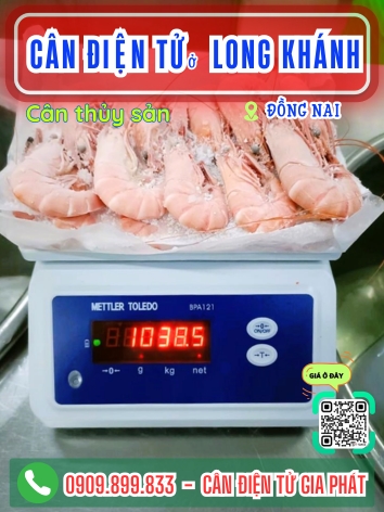 Cân điện tử ở Long Khánh Đồng Nai - Cân Gia Phát