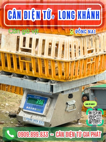 Cân điện tử ở Long Khánh Đồng Nai - Cân Gia Phát