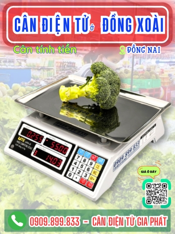 Cân điện tử ở Đồng Xoài Đồng Nai - Cân Gia Phát