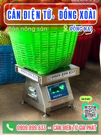 Cân điện tử ở Đồng Xoài Đồng Nai - Cân Gia Phát