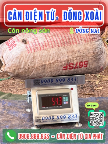 Cân điện tử ở phường Đồng Xoài Đồng Nai