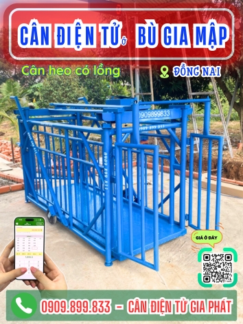 C&acirc;n điện tử ở B&ugrave; Gia Mập Đồng Nai - C&acirc;n Gia Ph&aacute;t