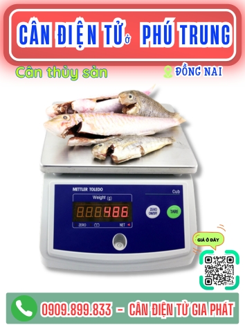 C&acirc;n điện tử ở Ph&uacute; Trung Đồng Nai - C&acirc;n Gia Ph&aacute;t