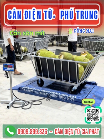 C&acirc;n điện tử ở Ph&uacute; Trung Đồng Nai - C&acirc;n Gia Ph&aacute;t
