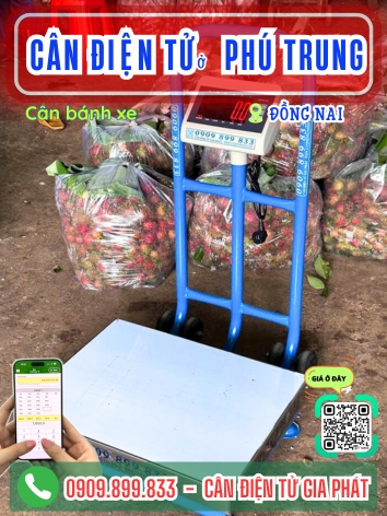 C&acirc;n điện tử ở Ph&uacute; Trung Đồng Nai - C&acirc;n Gia Ph&aacute;t