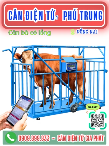 C&acirc;n điện tử ở Ph&uacute; Trung Đồng Nai - C&acirc;n Gia Ph&aacute;t