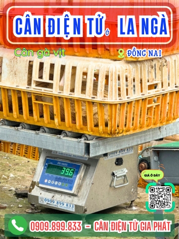 C&acirc;n điện tử ở La Ng&agrave; Đồng Nai - C&acirc;n Gia Ph&aacute;t