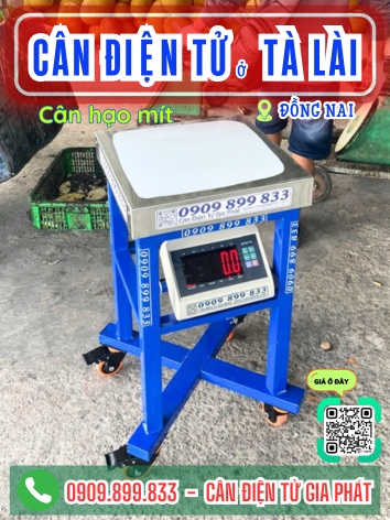 C&acirc;n điện tử ở T&agrave; L&agrave;i Đồng Nai - C&acirc;n Gia Ph&aacute;t