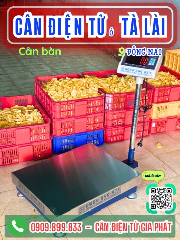 C&acirc;n điện tử ở T&agrave; L&agrave;i Đồng Nai - C&acirc;n Gia Ph&aacute;t