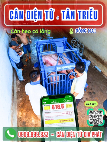 C&acirc;n điện tử ở T&acirc;n Triều Đồng Nai - C&acirc;n Gia Ph&aacute;t