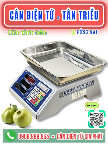 C&acirc;n điện tử ở T&acirc;n Triều Đồng Nai - C&acirc;n Gia Ph&aacute;t