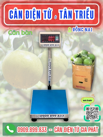 C&acirc;n điện tử ở T&acirc;n Triều Đồng Nai - C&acirc;n Gia Ph&aacute;t