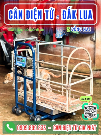 Cân điện tử ở Đắk Lua Đồng Nai - Cân Gia Phát