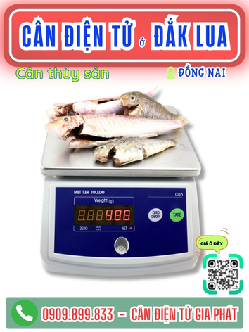 Cân điện tử ở Đắk Lua Đồng Nai - Cân Gia Phát