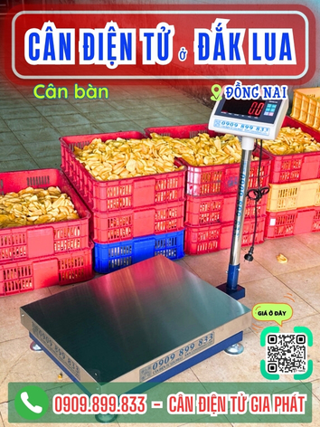 Cân điện tử ở Đắk Lua Đồng Nai - Cân Gia Phát