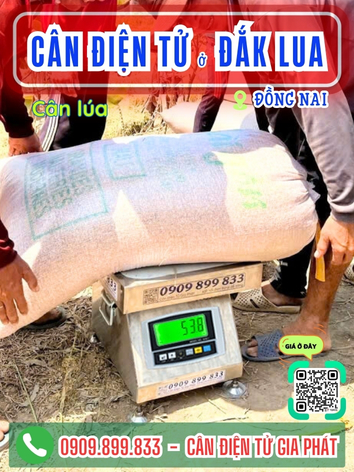 Cân điện tử ở xã Đak Lua Đồng Nai