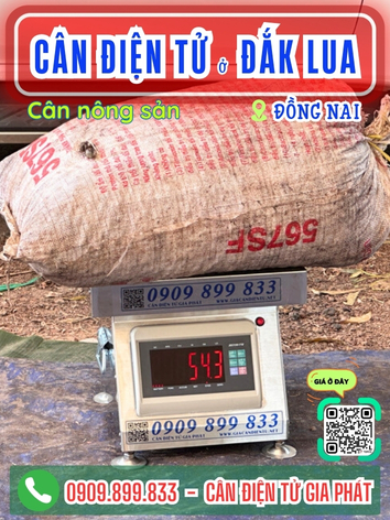 Cân điện tử ở Đắk Lua Đồng Nai - Cân Gia Phát