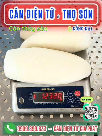 C&acirc;n điện tử ở Thọ Sơn Đồng Nai - C&acirc;n Gia Ph&aacute;t