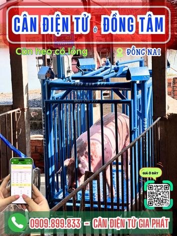 Cân điện tử ở xã Đồng Tâm Đồng Nai