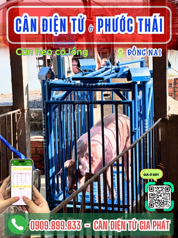 Cân điện tử ở Phước Thái Đồng Nai - Cân Gia Phát
